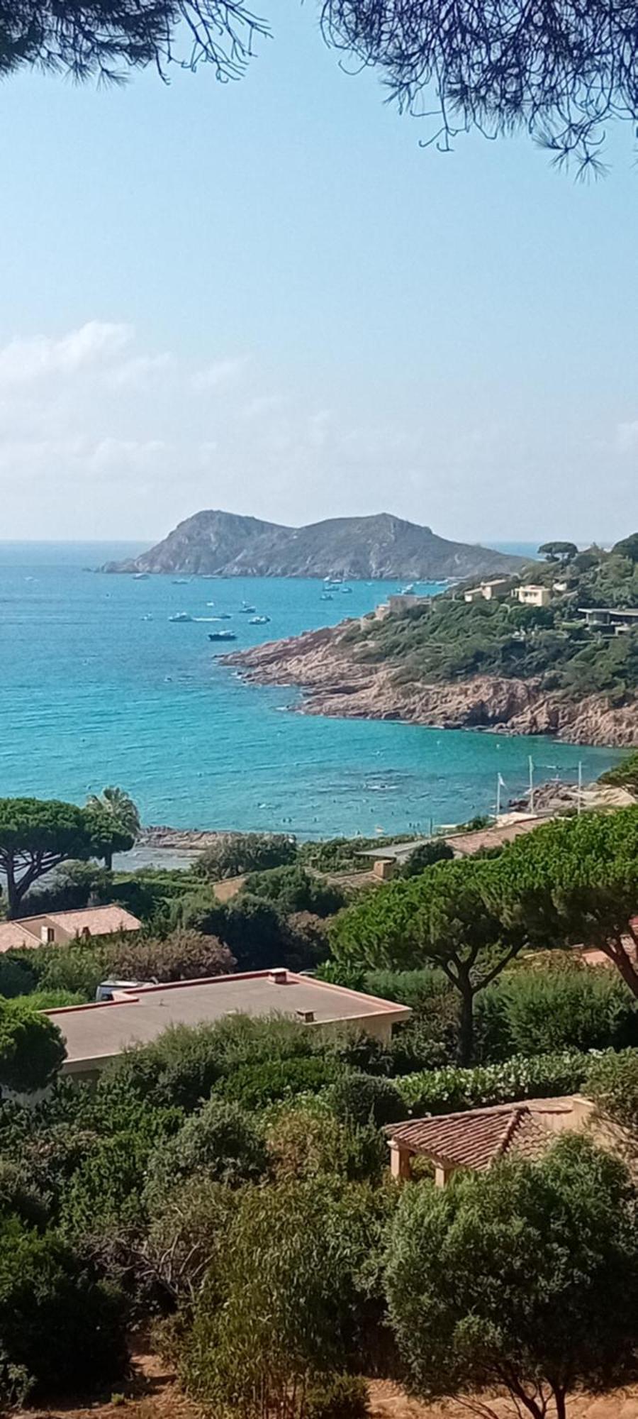 Appartement T2 A La Croix Valmer Piscine Et Tennis Dış mekan fotoğraf