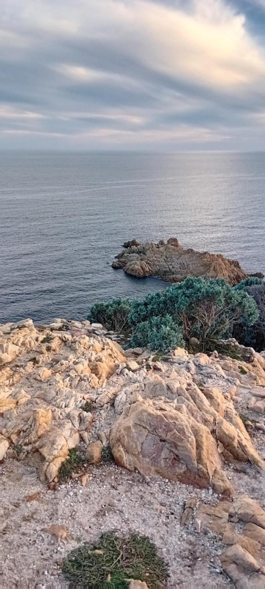 Appartement T2 A La Croix Valmer Piscine Et Tennis Dış mekan fotoğraf
